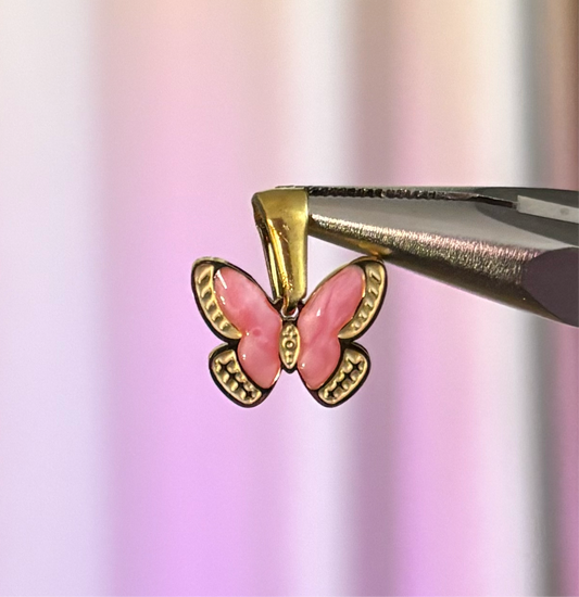 Mariposa nueva